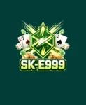 ske999 logo